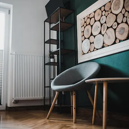 Ferienwohnung Plazowianka Witów Exterior foto
