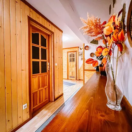 Ferienwohnung Plazowianka Witów Exterior foto